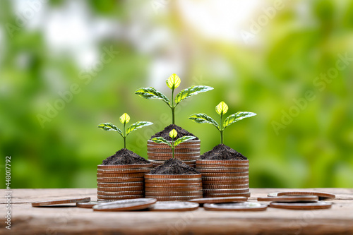 Tree growing on a pile of silver coins and blurred green nature background, money-saving concept. economic growth