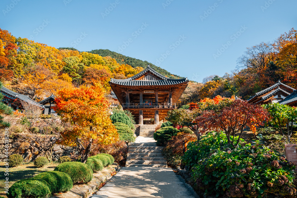 Autumn of Buseoksa Temple in Yeongju, Korea