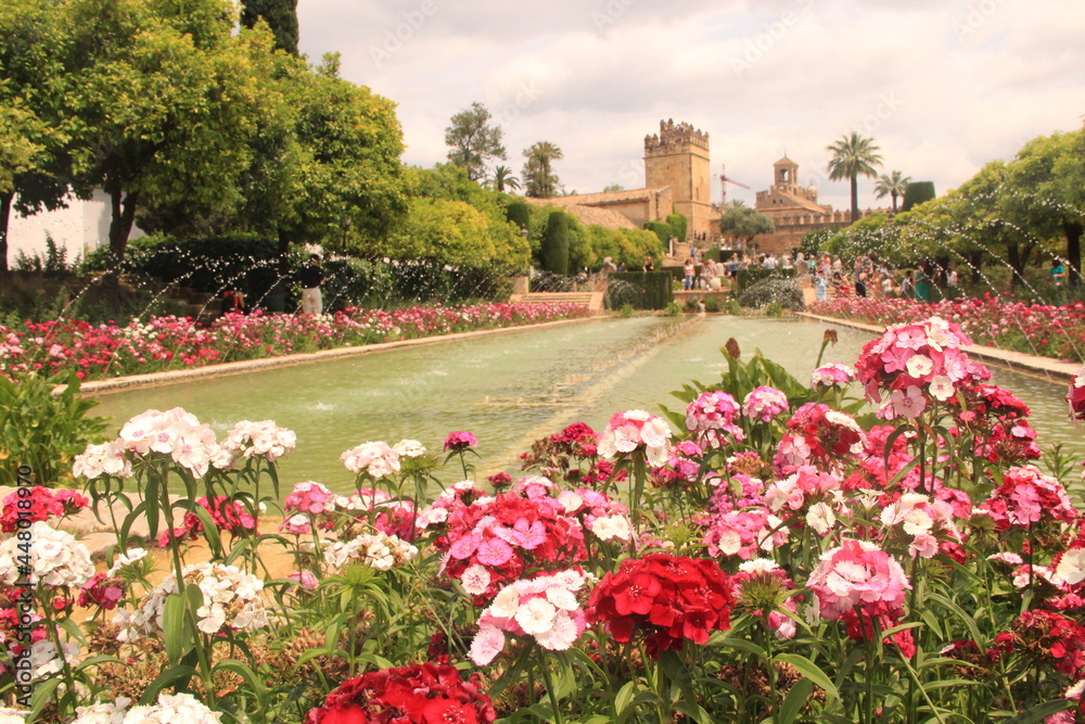 Typical muslim gardens in Cordoba Spain