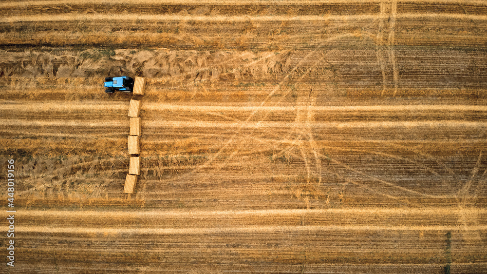 Tractor working on a farm and collecting hale straw bales. Tractor working on a farm and collecting hale straw bales.