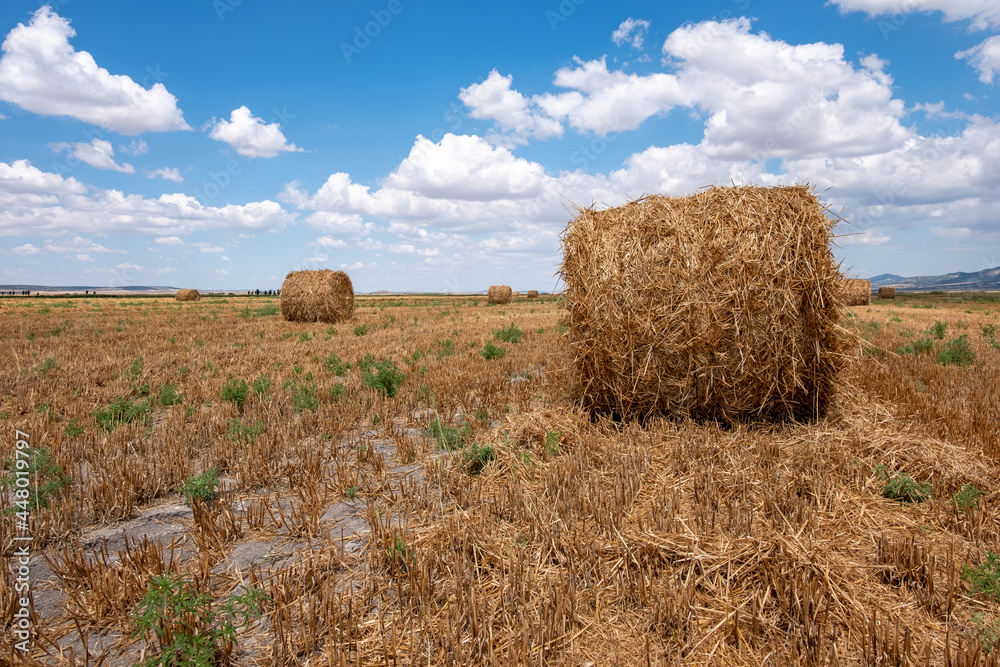 Hay bales in the field on a cloudy day. 