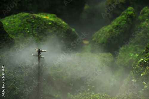 Steam spray with beautiful natural green moss.