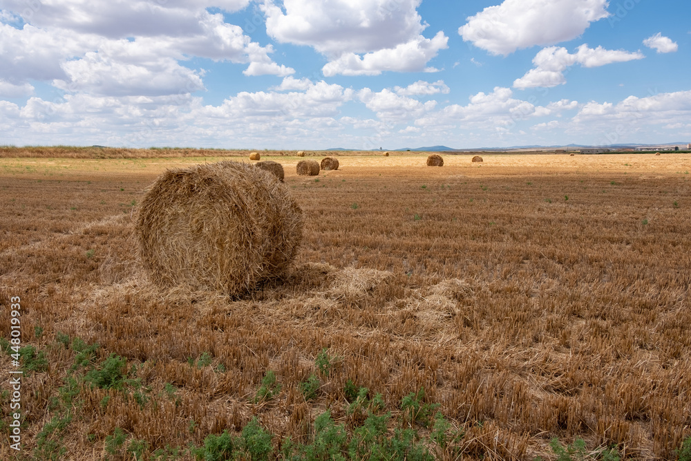 Hay bales in the field on a cloudy day. 