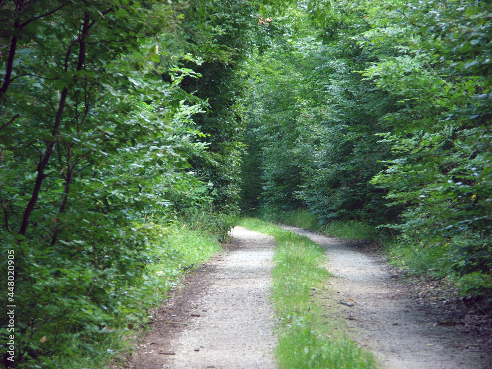 Kinding-Greding 2021