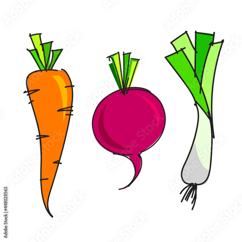 carrot beetroot and leeks hand drawn vector  illustration