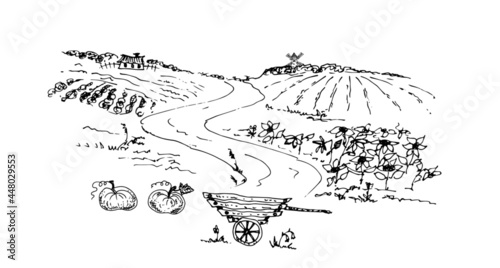 Rural landscape with a mill. Vector line drawing. Sketch.