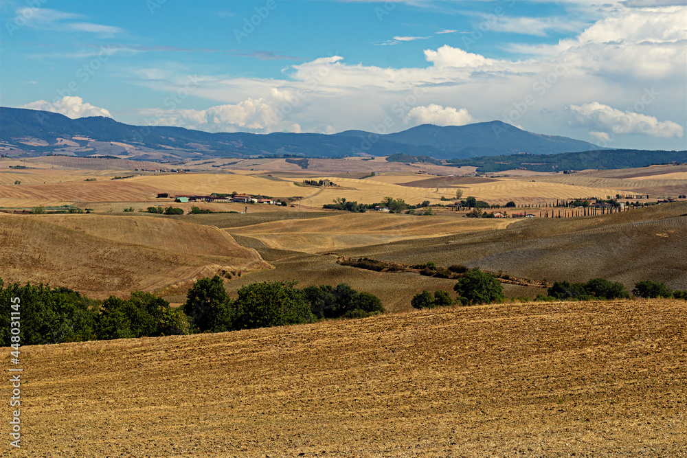 Fototapeta premium Tuscany, Italy. Landscape