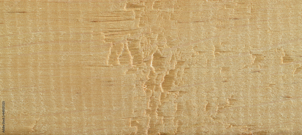 Fototapeta premium Pine wood texture close up.