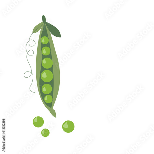 Green pea pod with peas on a white background with a copy of the space. Close-up