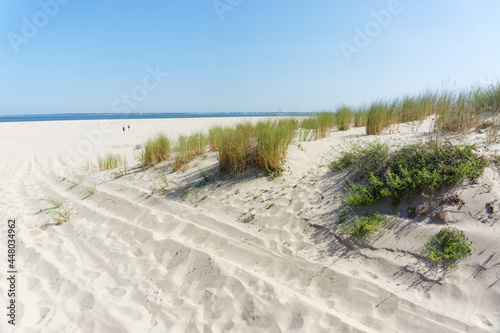 Sand dune and beach in Le Verdon-sur-Mer village 