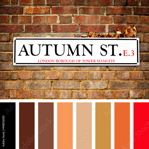Autumn Street  sign with fallen leaves against a red brick wall. In a colour palette with complimentary colour swatches. 