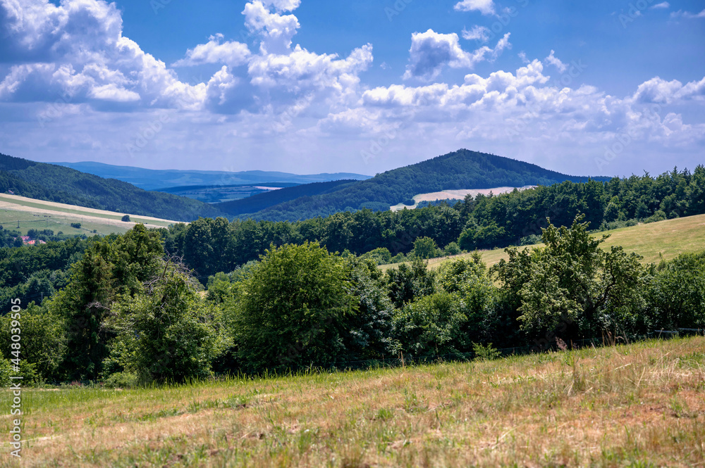 Hillside with pasture and meadows, green tree and blue hill on horizon near Provodov.