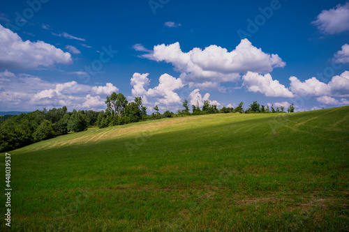 Green meadow, forest on horizon and blue sky with cloud, summer.