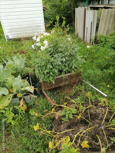 wooden garden