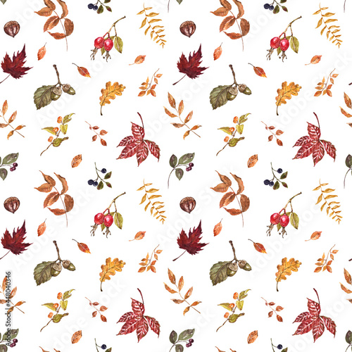 Fall leaves, berries, plants seamless pattern. Watercolor autumn botanical print. Natural artistic wallpaper with white background. © Anna Nekotangerine