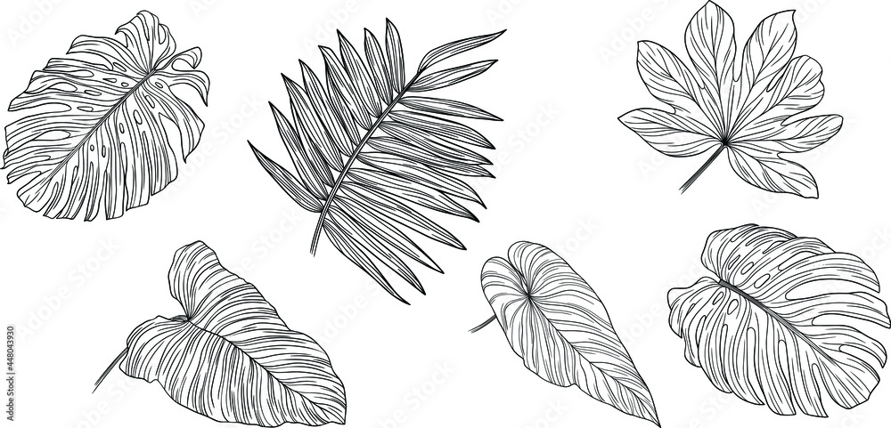 Tropical leaves isolated on white. Hand drawn vector illustration Tropical leaves isolated on white. Hand drawn vector illustration