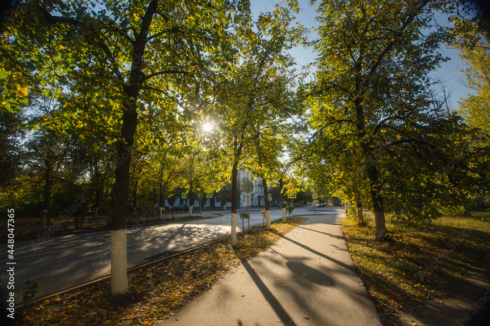 beautiful autumn landscape, autumn, sunlight, autumn leaves