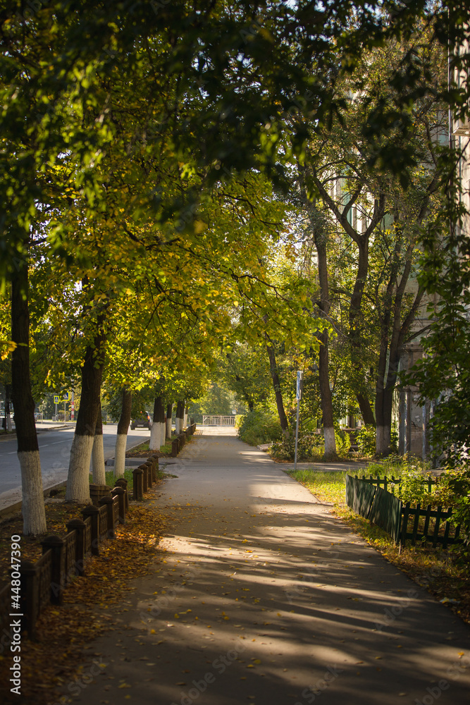 beautiful autumn landscape, autumn, sunlight, autumn leaves beautiful autumn landscape, autumn, sunlight, autumn leaves