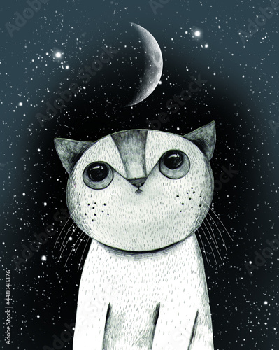 Drawing of a cat with big eyes at night with the moon