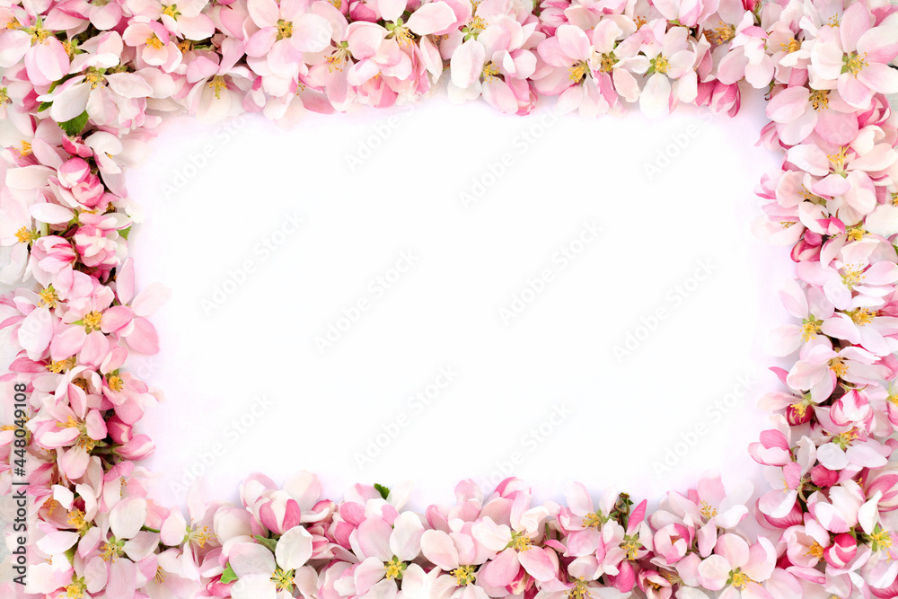 Spring apple blossom flower decorative background border on white. Springtime, Easter, nature, beauty, concept. On white with copy space,  top view, flat lay.