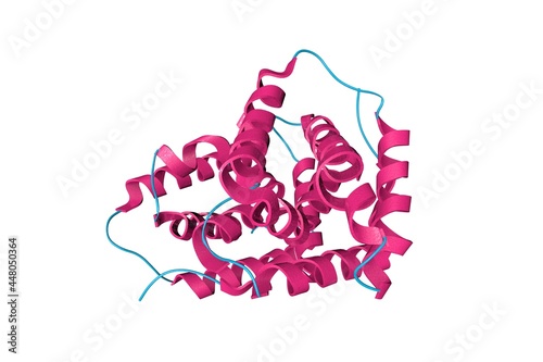 Crystal structure of recombinant human interleukin-22. Ribbons diagram in secondary structure coloring. Rendering based on protein data bank entry 1m4r. 3d illustration photo