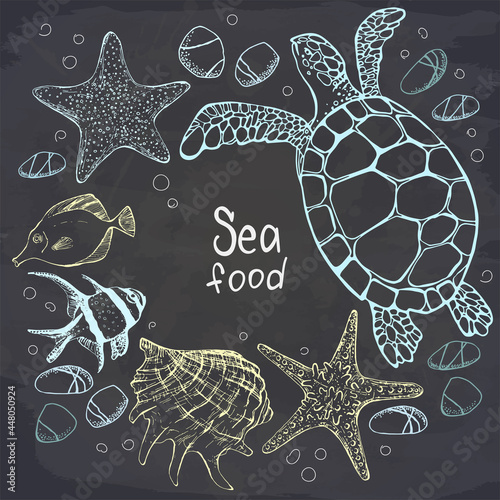 Template for sea food restaurant menu. Tropical fish, seashell, starfish and sea turtle on chalkboard. Vector illustration. Perfect for invitation, postcard, banner. Tourism, travel and adventure.