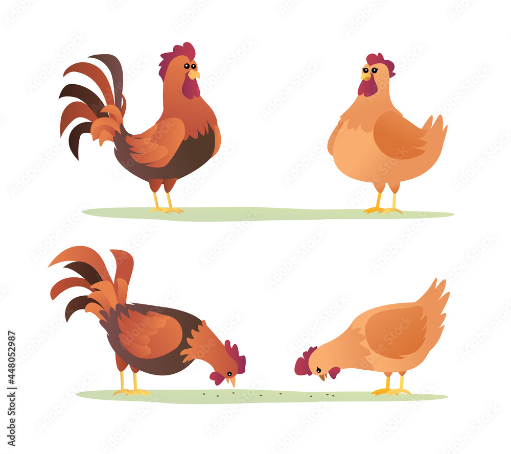 Fototapeta premium Set of roosters and hens cartoon
