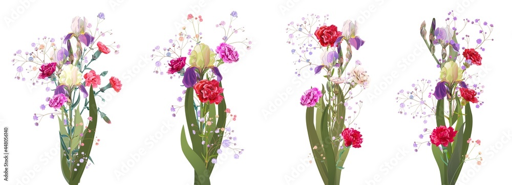 Beautiful spring bouquet: blue irises, red carnations, gypsophila. Flowers, small green twigs on white background. Digital draw illustration in watercolor style for Mothers Day, panoramic view, vector