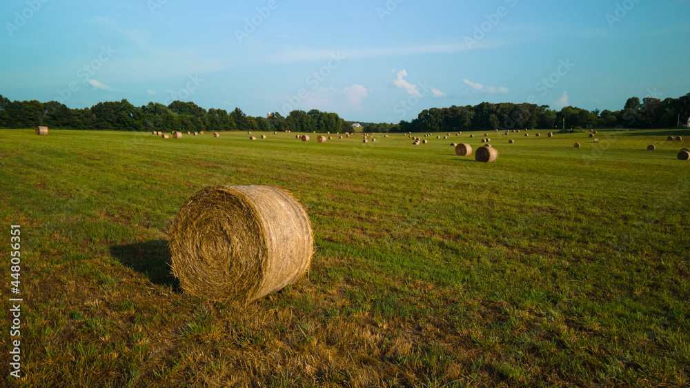A bird's-eye view of a field with haystacks. High quality photo