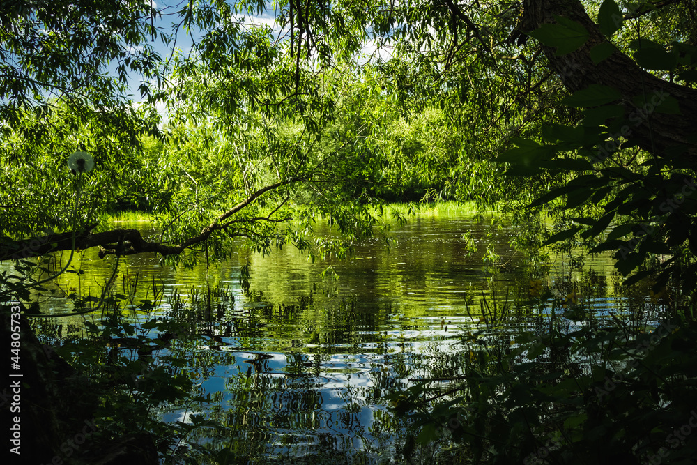 View from the shore through the foliage of trees to the reflection in the river of the opposite bank. Summer sunny day. Ukraine.