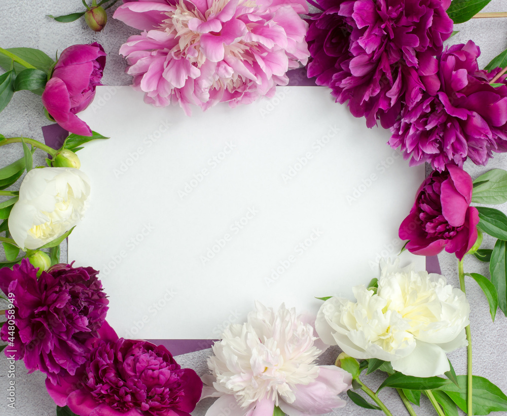 Blank for a greeting card or invitation. White sheet of paper in a frame of peonies. Top view of a blank sheet of paper with space for text. flower composition Blank for a greeting card or invitation. White sheet of paper in a frame of peonies. Top view of a blank sheet of paper with space for text. flower composition