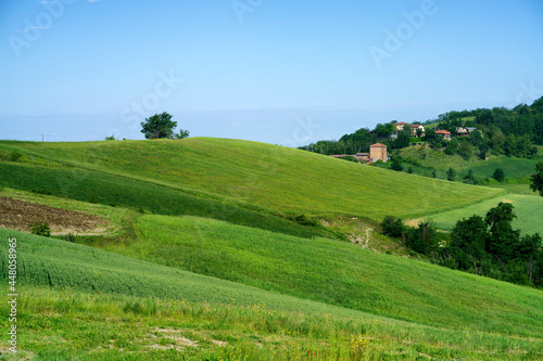 Vineyards on the Tortona hills at springtime