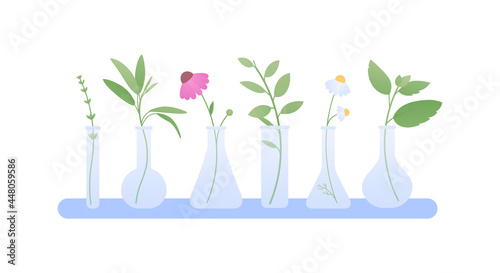Aromatherapy and herbal medicine concept. Vector flat illustration. Collection of different herb leaves and flowers in bottle on horizontal shelf isolated on white background. Design element