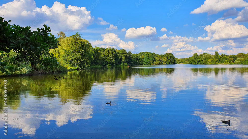 River with cloud reflections and spring green trees.