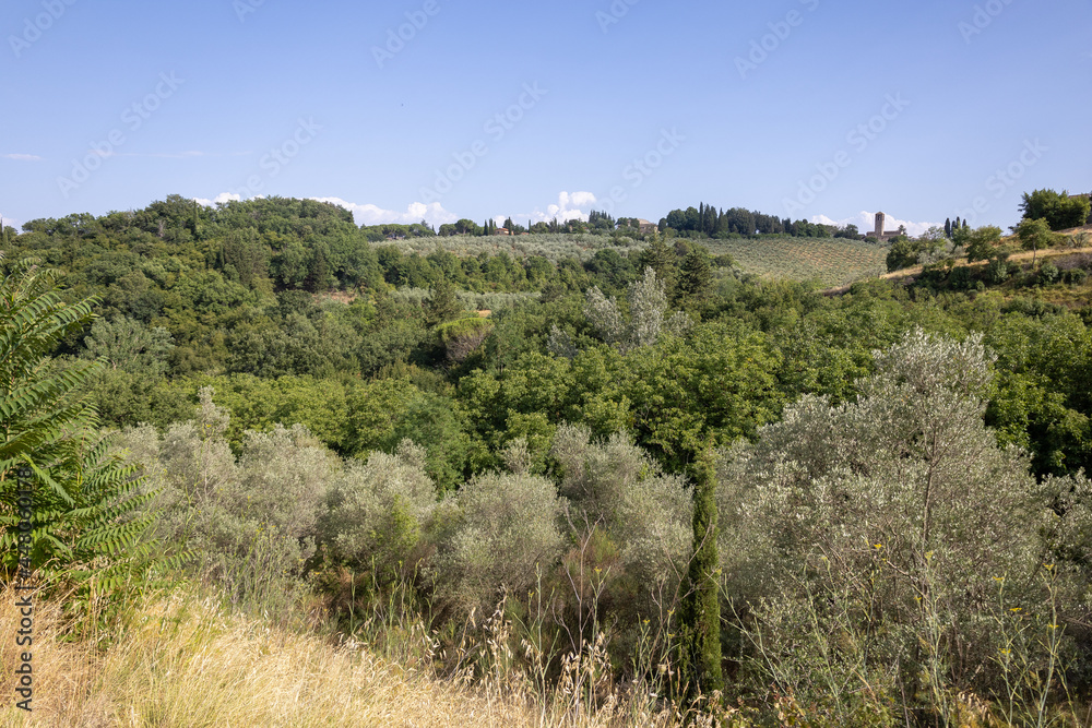 Typische Landschaft in der Toskana Postkartenmotiv Typische Landschaft in der Toskana Postkartenmotiv