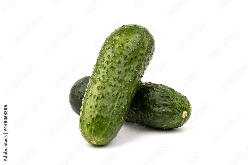 cucumber vegetable isolated on white background cucumber vegetable isolated on white background
