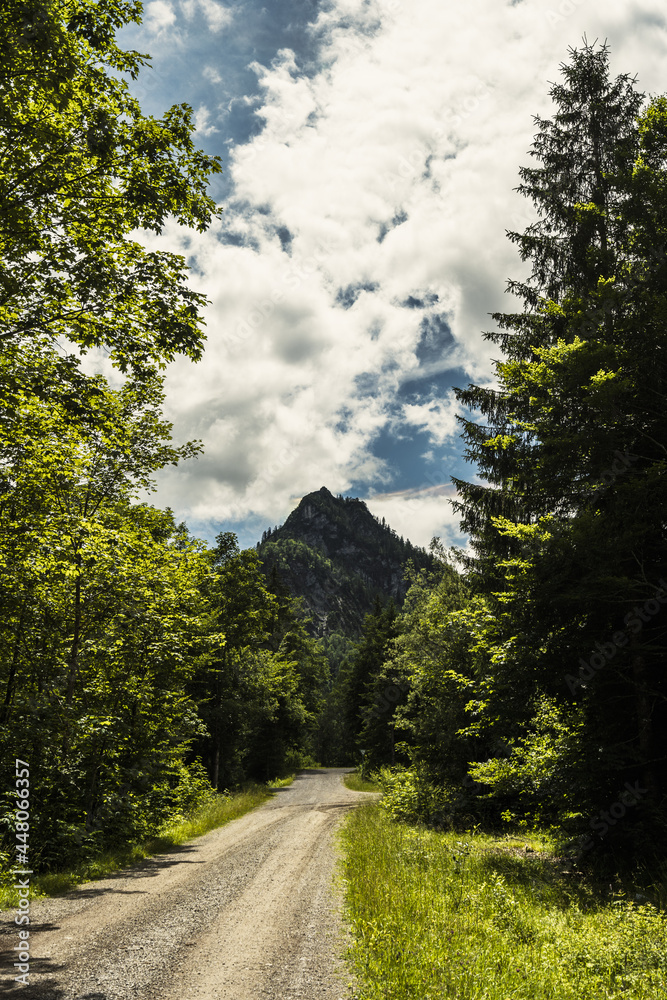 mountain panorama view