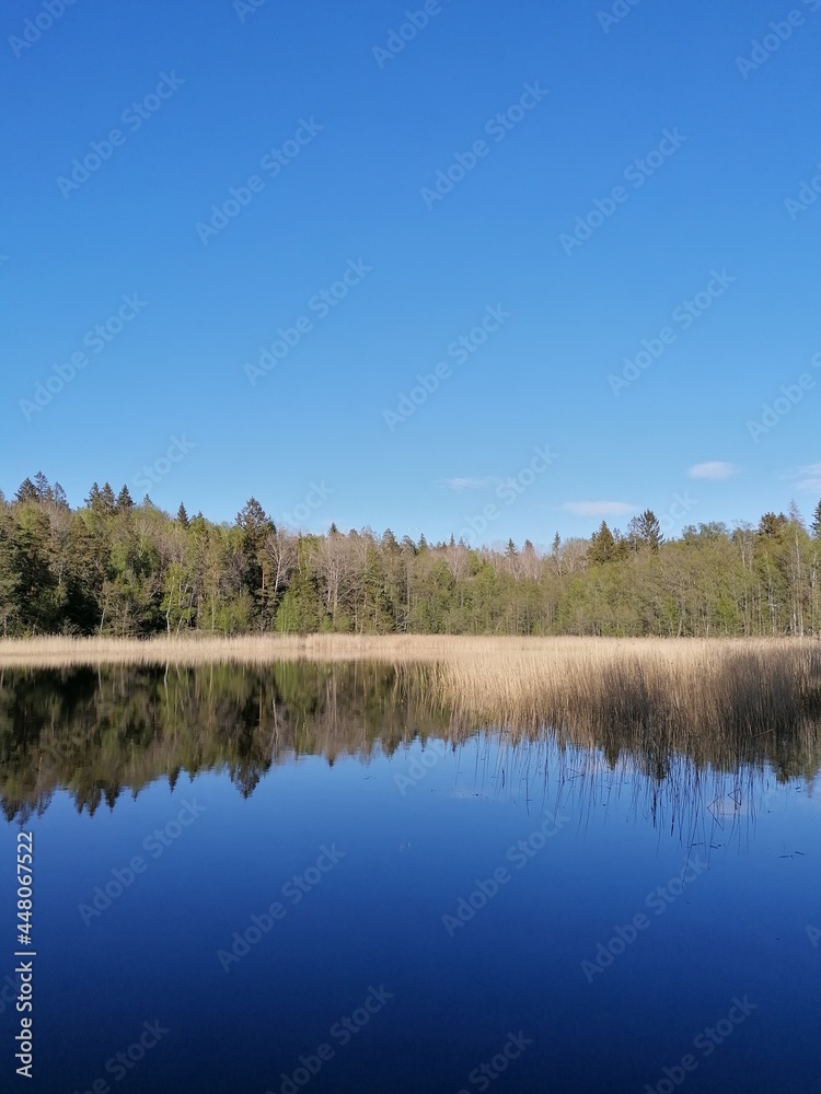 The stunning islands, nature and landscapes of Stockholm's Skärgård / Archipelago in Sweden