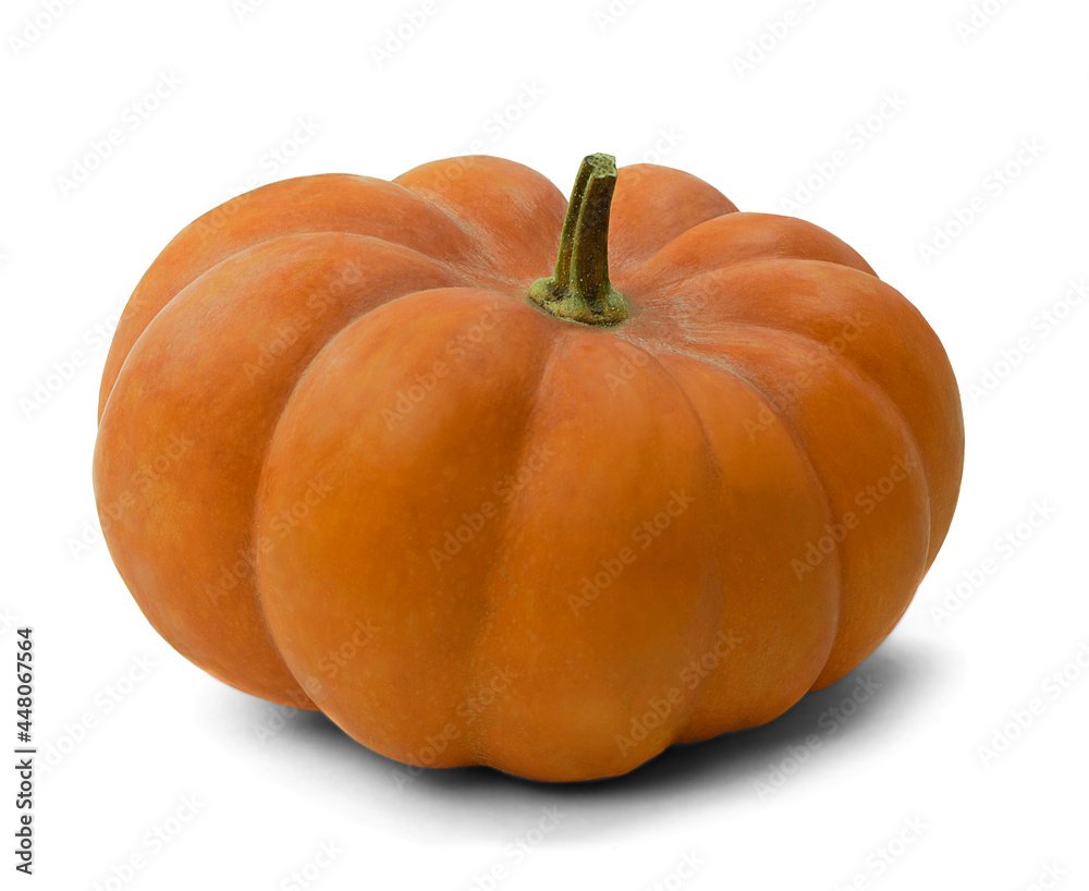 Thanksgiving day. autumn background. Orange pumpkin on white . Thanksgiving day wallpaper. Banner sale