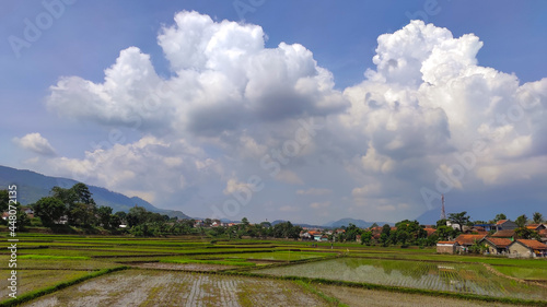 Photo of a beautiful cloud view over the newly planted rice field