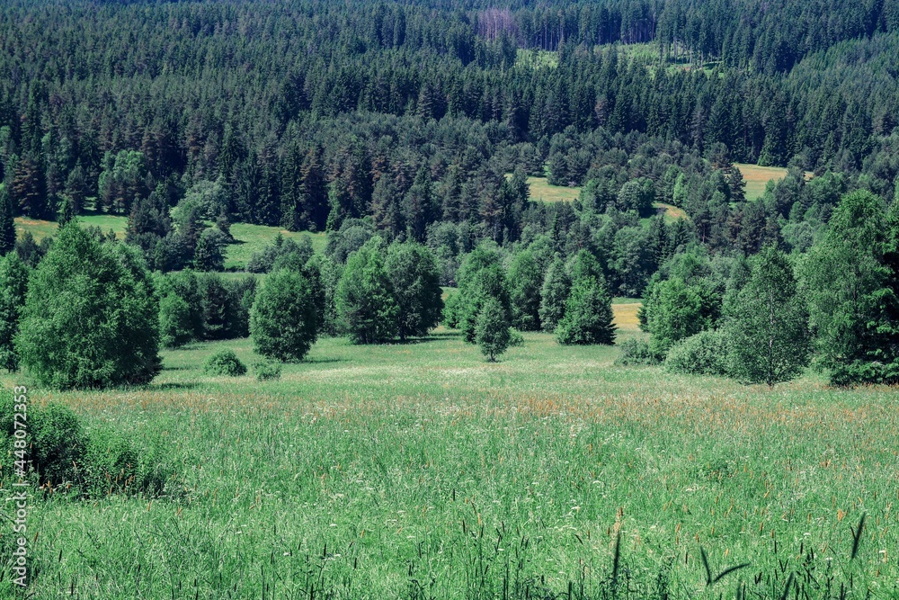 Fototapeta premium The beautiful nature in the place of the lost village Stodulky at Sumava, Czech republic