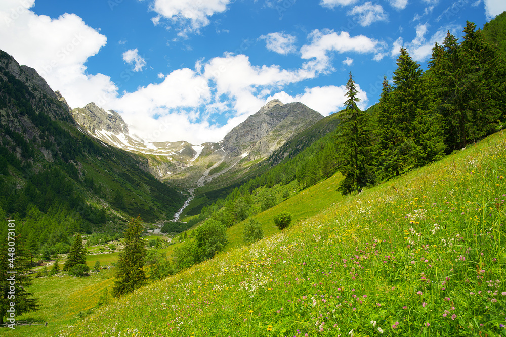 Naklejka premium Panoramic view over the high alpine valley of Mühlwald South Tirol