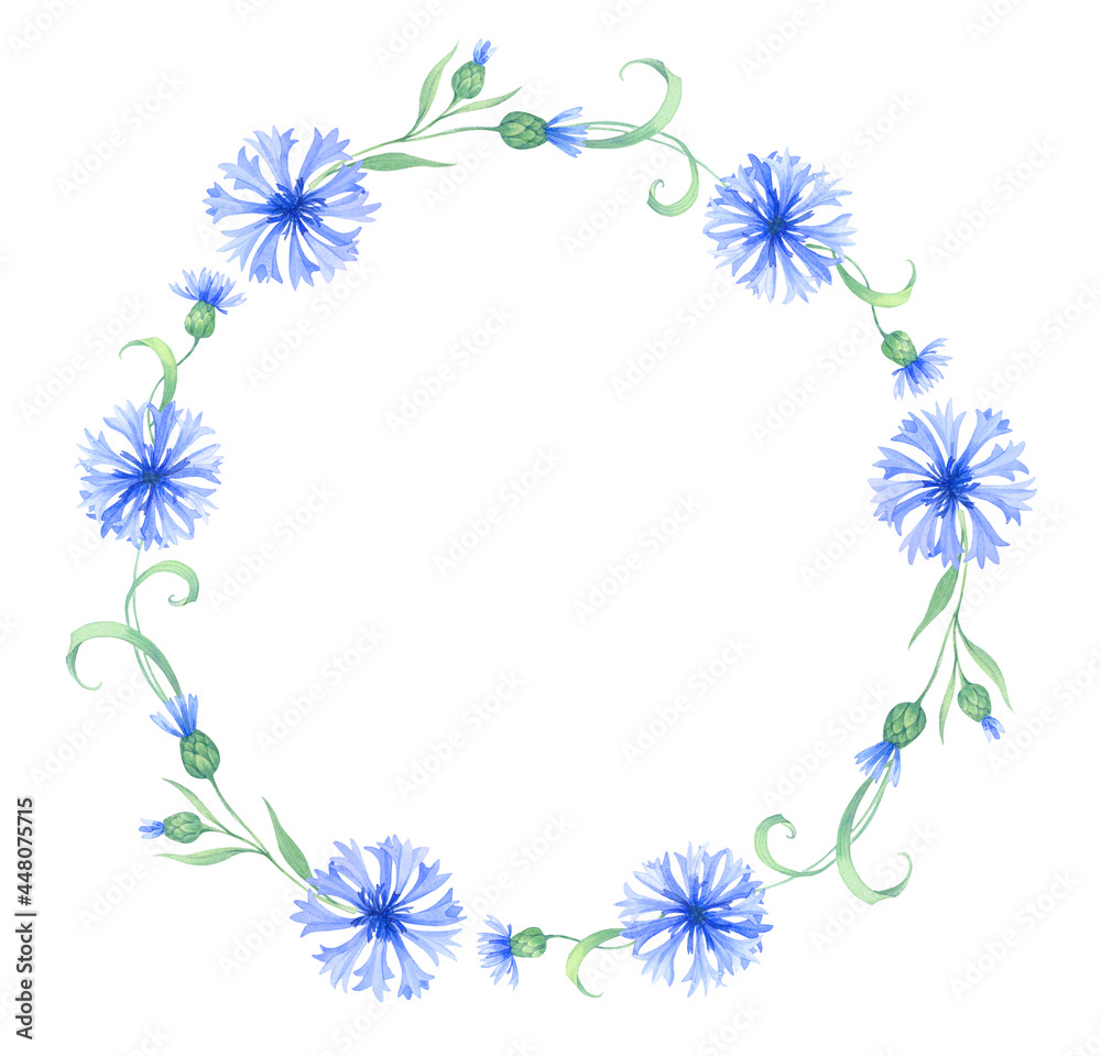 Round frame with blue cornflower flowers, a wreath of summer field grasses and leaves. watercolor illustration with summer herbs, meadow flowers Round frame with blue cornflower flowers, a wreath of summer field grasses and leaves. watercolor illustration with summer herbs, meadow flowers