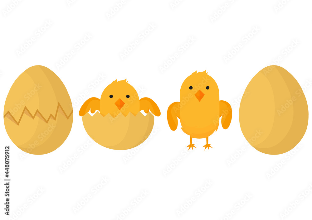 a collection of illustrations on the theme of chicks, with cracked eggs, newly hatched chicks, chicks that have started to grow up, and whole chicken eggs a collection of illustrations on the theme of chicks, with cracked eggs, newly hatched chicks, chicks that have started to grow up, and whole chicken eggs