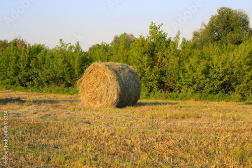A lone bale of hay lies on a field