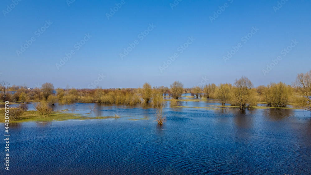 Flooded trees during a period of high water. Trees in water. Landscape with spring flooding of Pripyat River near Turov, Belarus. Flooded trees during a period of high water. Trees in water. Landscape with spring flooding of Pripyat River near Turov, Belarus.