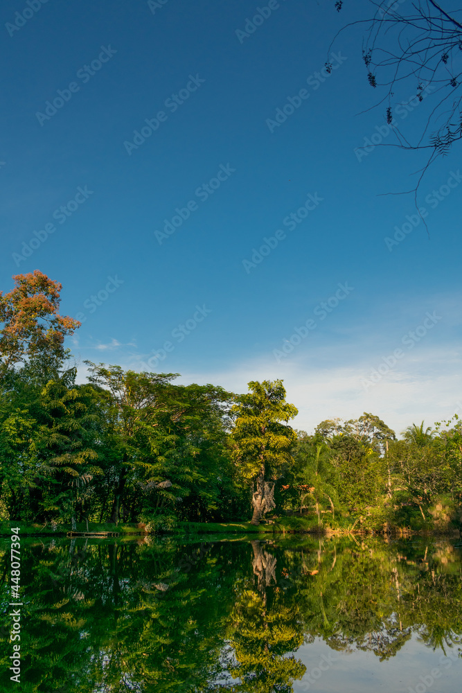 Obraz premium mirror lake with a lot kinds of vegetation around