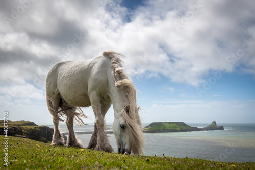 Rhossili Bay in the Gower Peninsula on a summer's day in Swansea, Wales photo