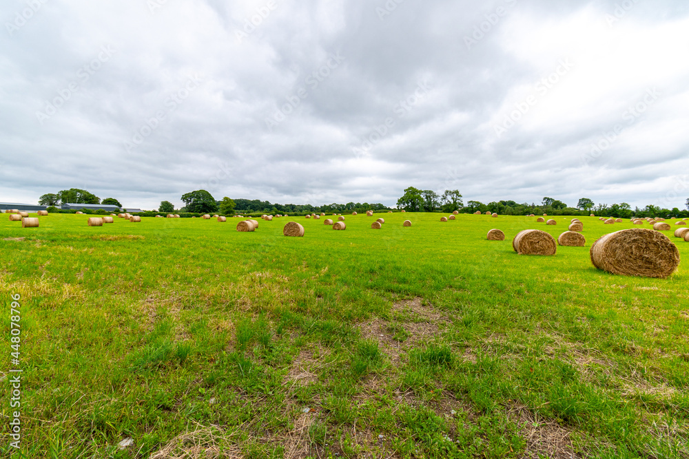 Farmland with freshly rolled bales of hay with low cloudy sky. Farmland with freshly rolled bales of hay with low cloudy sky.
