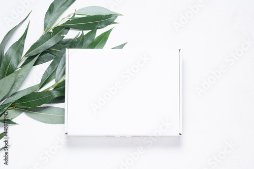 White cardboard box with tree brush